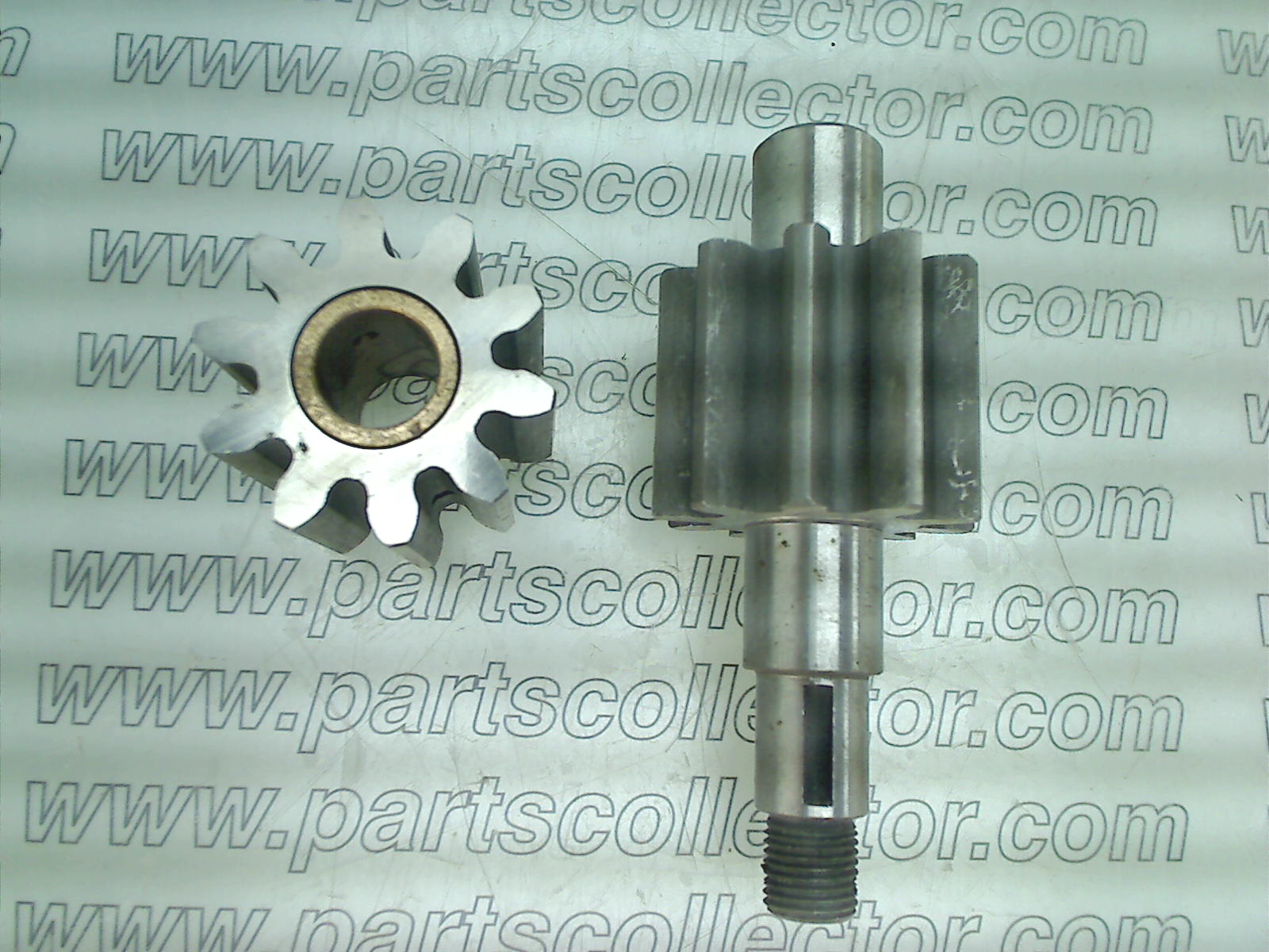 OIL PUMP GEAR 